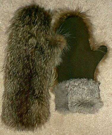 raccoonrabbitgreymittens.jpg